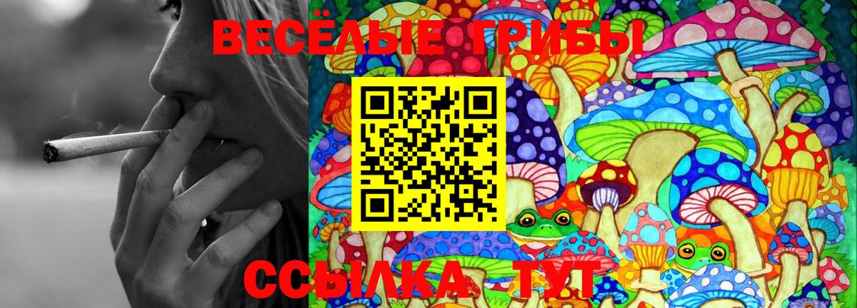 Галлюциногенные грибы ЛСД Сафоново